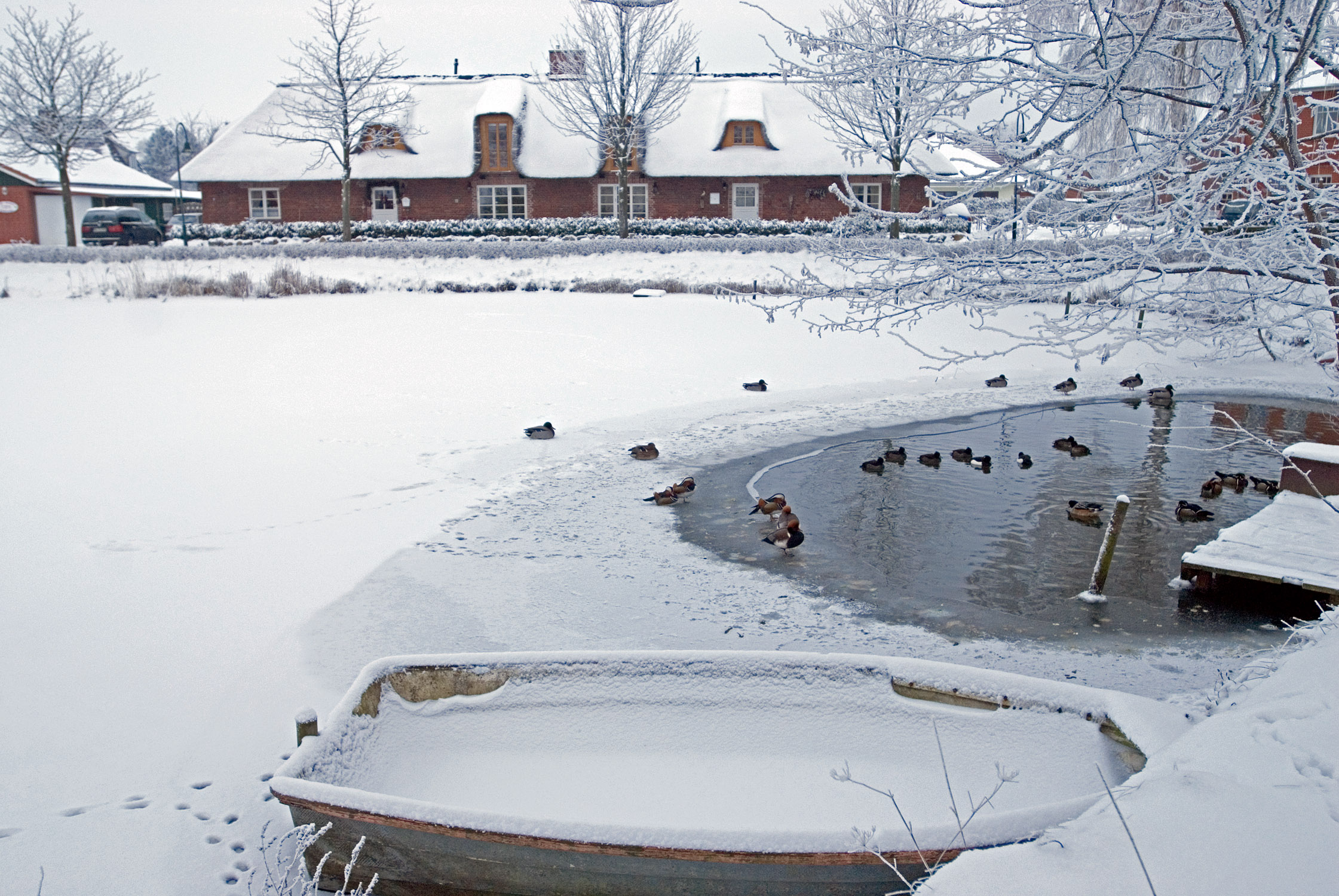 Dorfteich im Schnee