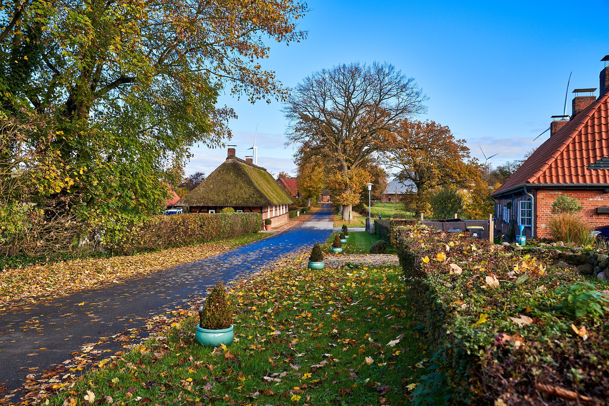 Straße die ins Dorf Kniephagen führt