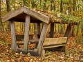 Überdachter Tisch mit zwei Holzbänken