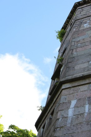 Renovierungswürdige Mauer Renovierungswürdige Mauer