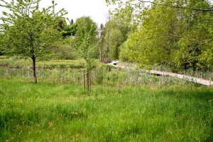 Holzweg Holzweg