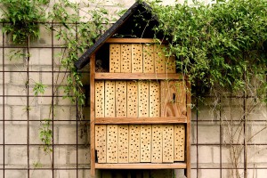 Insektenhaus Insektenhaus