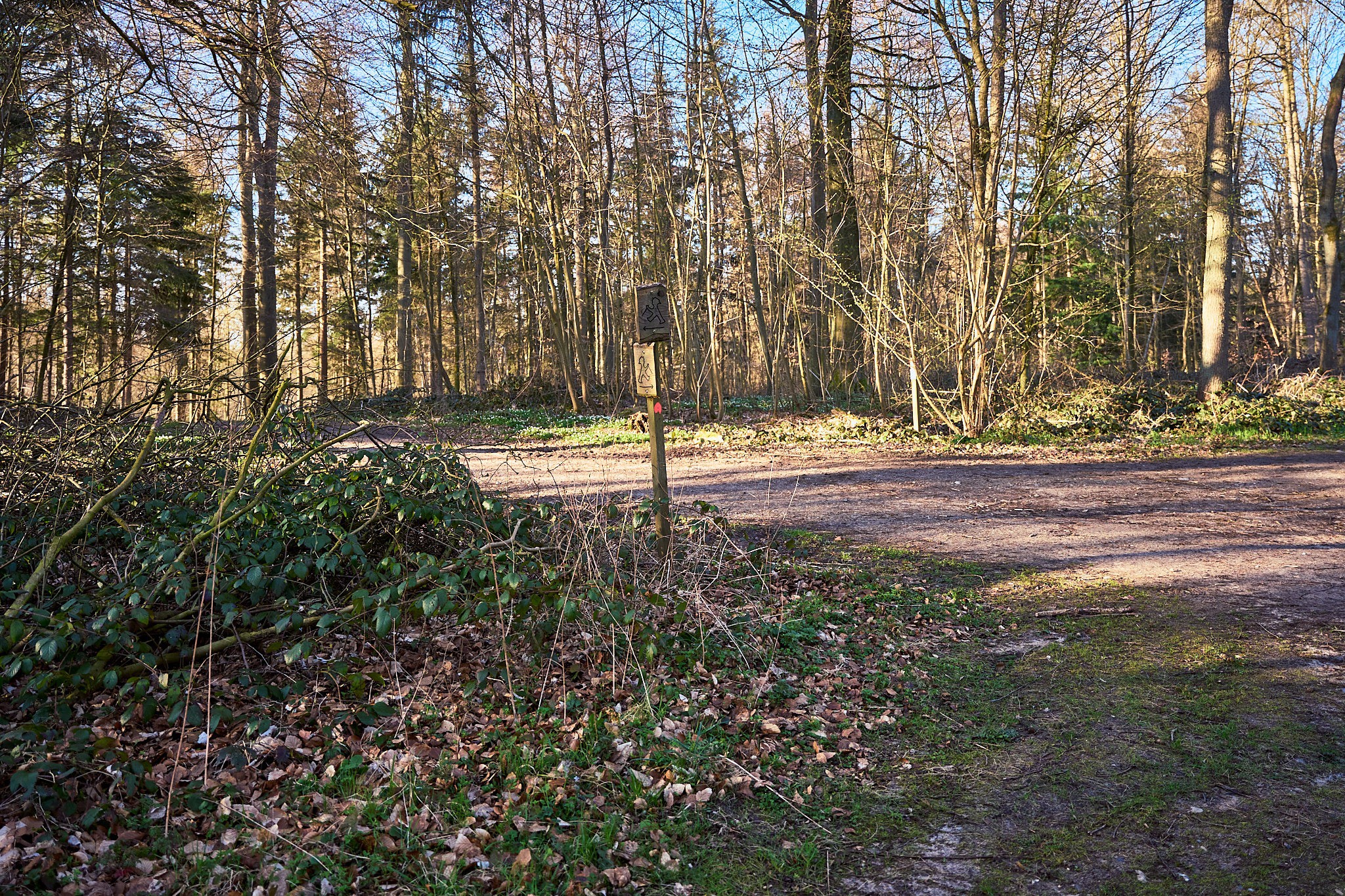 prt05302 wanderweg 