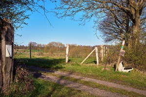 prt05334 wanderweg 