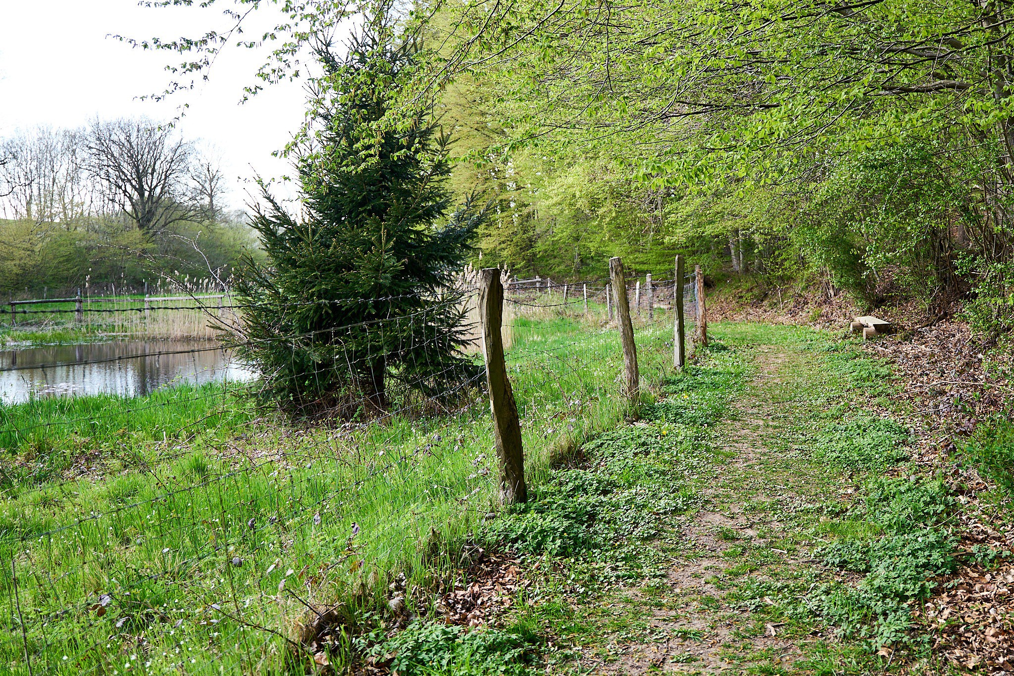 thp05887 wanderweg 