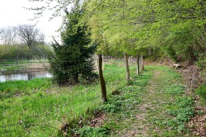 thp05887 wanderweg thp05887 wanderweg